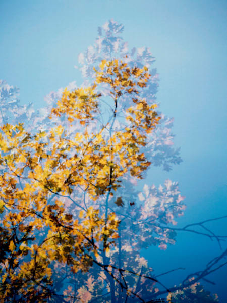 "Kalidescopic Fall"  049