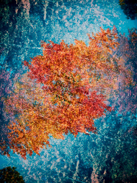 "Kalidescopic Fall"  013