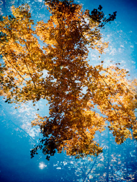 "Kalidescopic Fall"  014