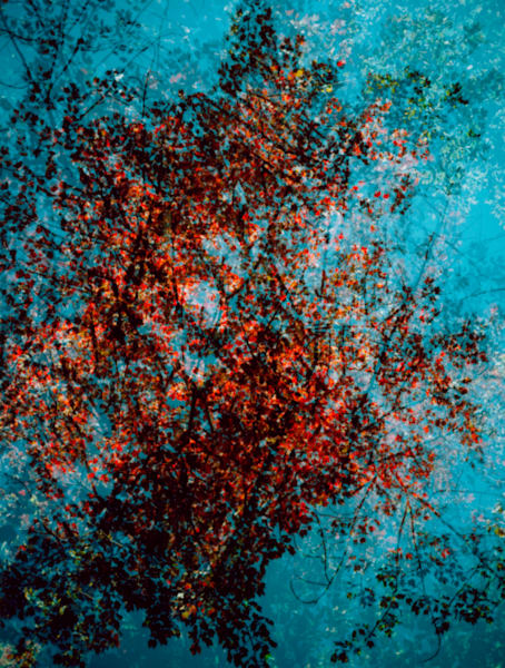 "Kalidescopic Fall"  004