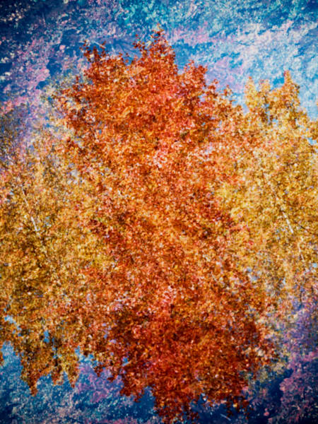 "Kalidescopic Fall"  005