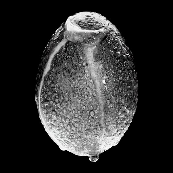 "Our Universe" I-0150BW