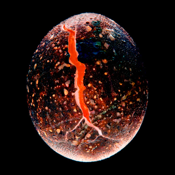"Our Universe" H-0042