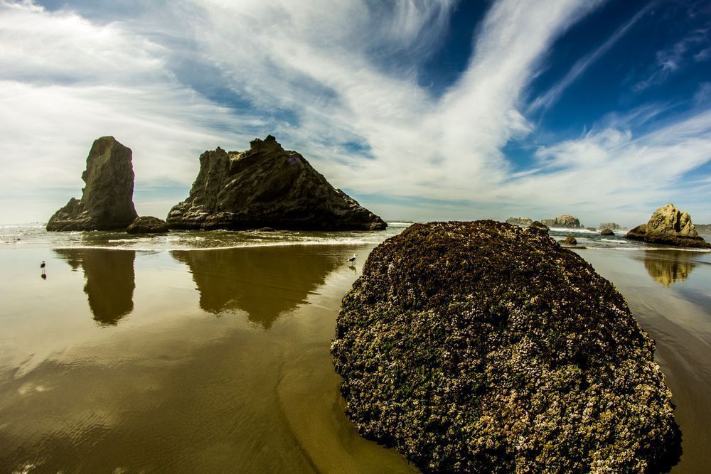 Mighty Reflecting Rocks Bandon Beach Oregon Coast