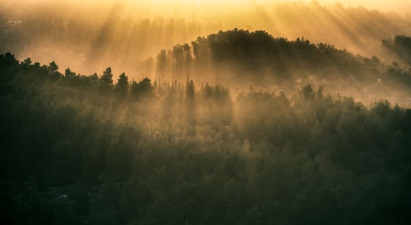 Daybreak