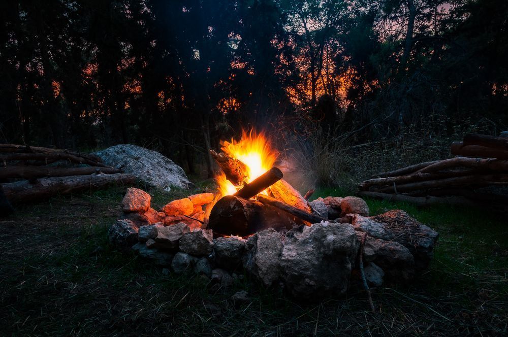 Forest Luminance