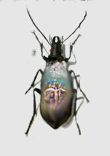 Sky Bug Art | Cumulus-Art
