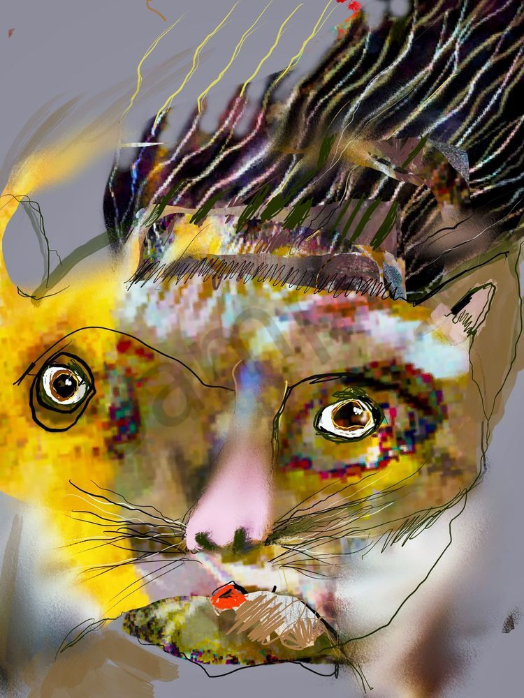 Cat Art | Cumulus-Art