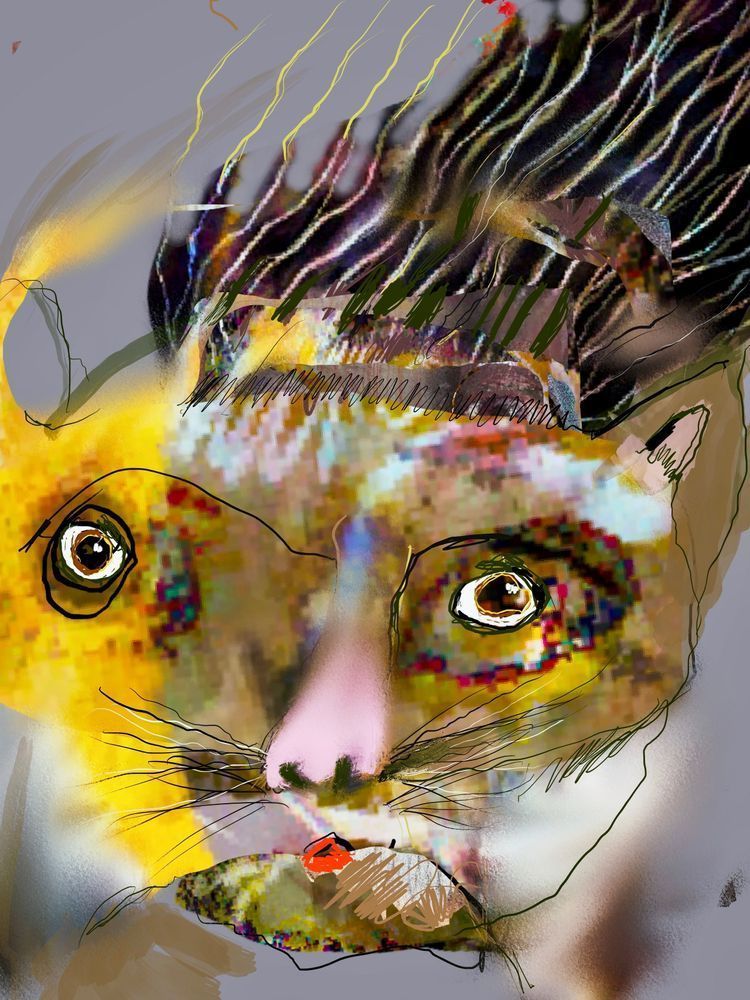 Cat Art | Cumulus-Art