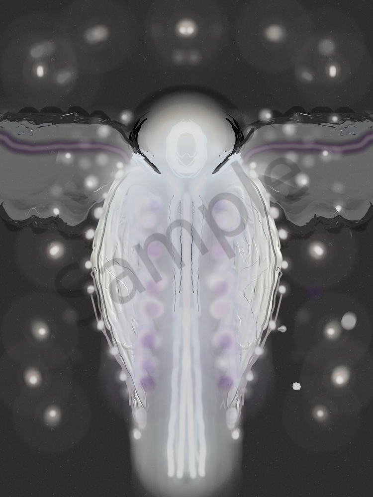 John’s Vision Art | Cumulus-Art