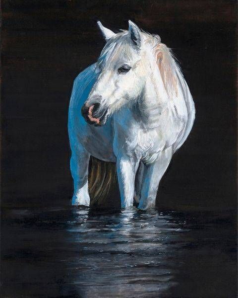 Salt River Horse Painting by Sarah Kane