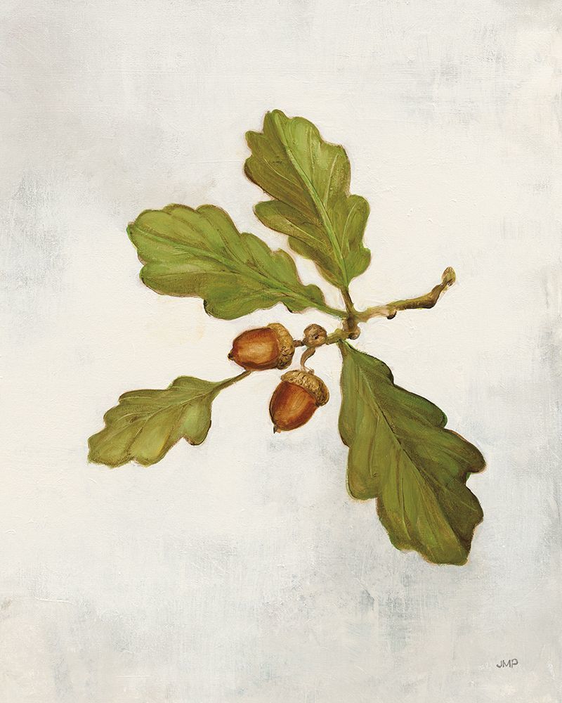 Oak Branch Crop -  Nature  Art Print