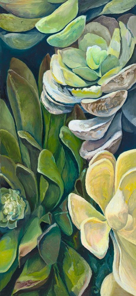 Succulents There Web 2000px Art | Muzeo