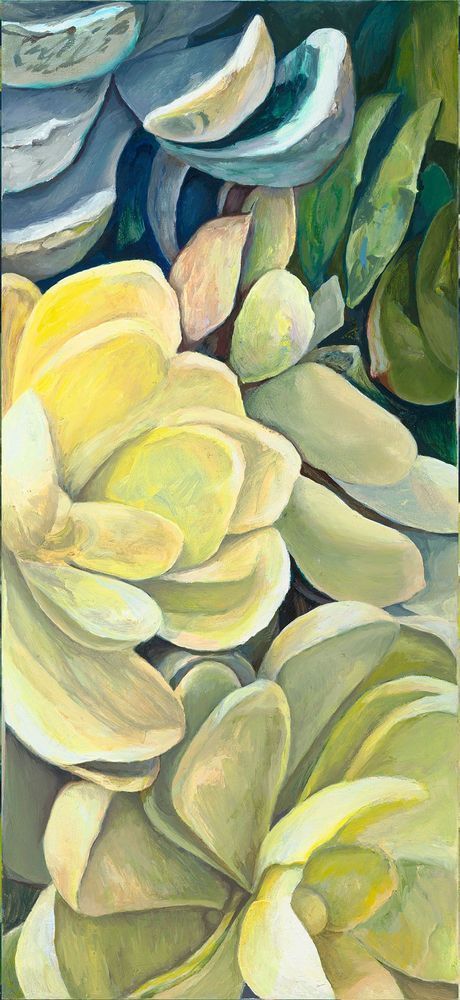 Succulents Here  Web 2000px Art | Muzeo