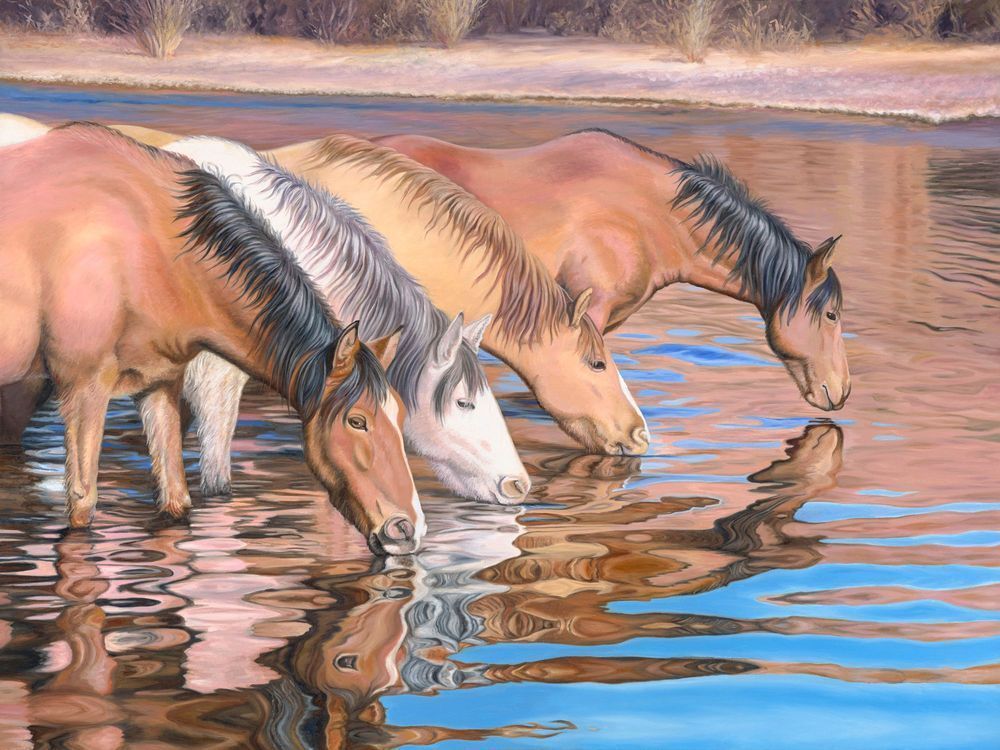 Salt River Reflections by Jenny Jardine | Fine Art Print