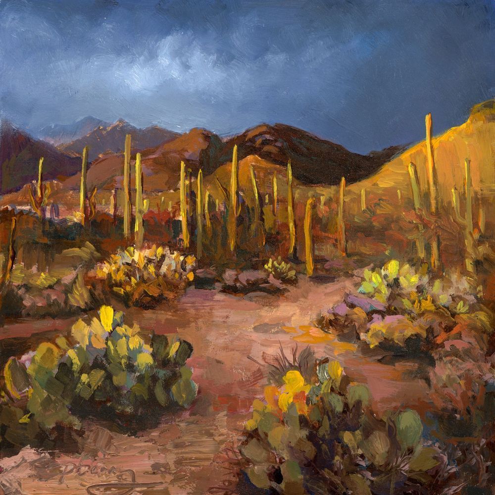 Sonoran Desert In August Art | Muzeo