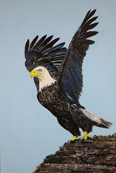 wildlife