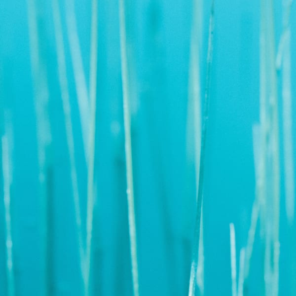 Colour of Home 02