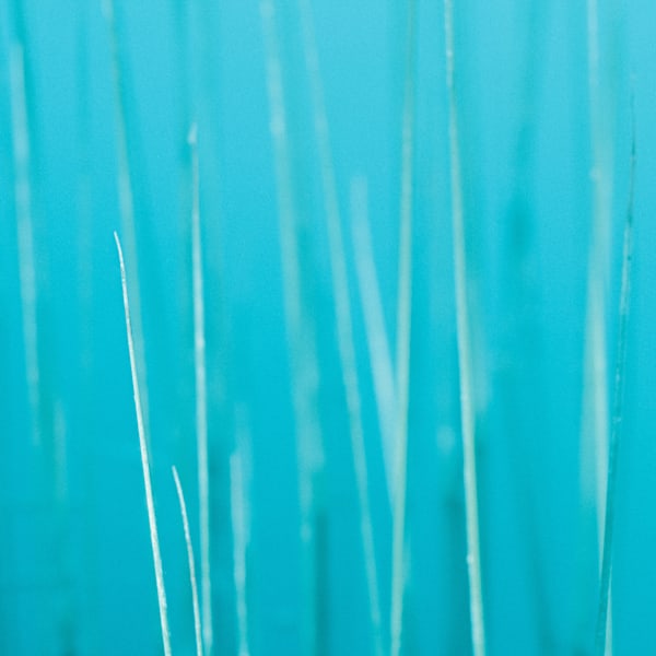 Colour of Home 01