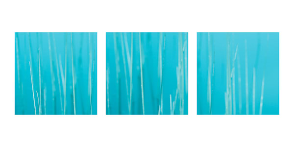 Colour of Home Triptych