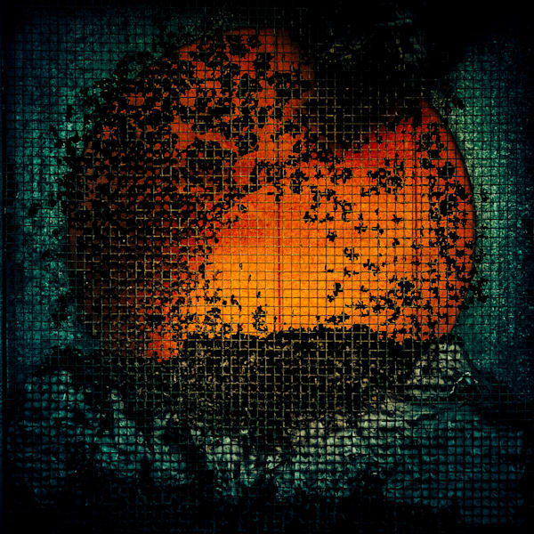 October Sun 01