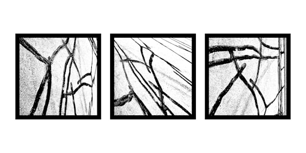 Untitled Lines Triptych