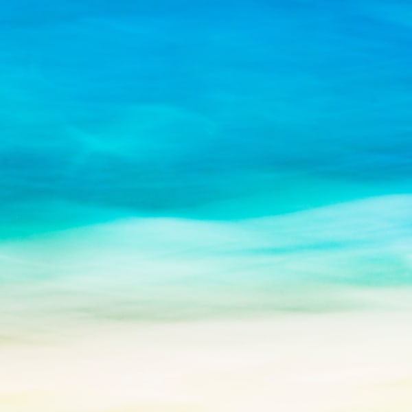 Impressions of an Estuary 01