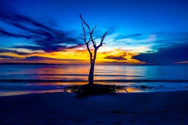 Dusk at the Boneyard | Boneyard Beach Florida Photography