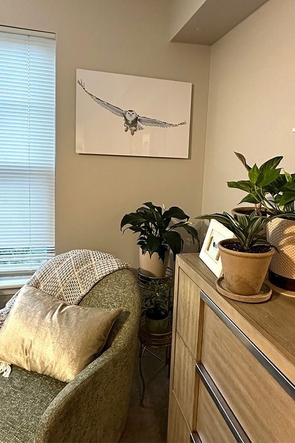 White owl wall art hangs beside a window with blinds, above a chair and cabinet with potted plants.