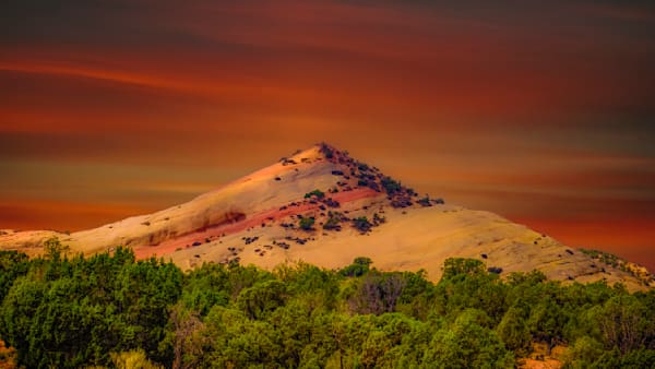 Sun Dappled Photography Art | James Bagwell