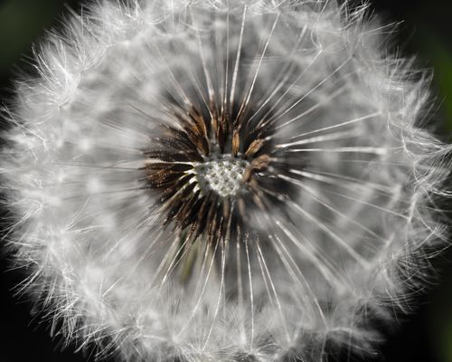 Mdawmdawmdawmdaw7qgraepd6cacehr zcfbfywxu2fyveayeunrgwctqqqltnerwweter6yomfiojy24adow ljj7f22f2vd2s3k0fn 38ezqodftc2xeuhdjufahdziomokxodj3hs jg da6ji5eudq olwagpj5emn40uiwzooupumkjaaze1d3pqtb0eoemqn5wxpeuq yb3nk5zrttdeoj 7i6qbqwltjpg kxcpppzrvy8rvib cpqcruusfsibfyf4cleqhh153map0qdzsu8ginzif8ekxscqkkquya mw6g8r9 7eysbm7