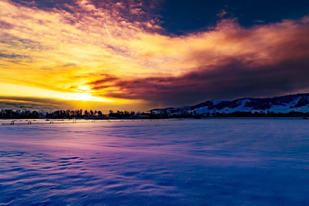 After the Winter Storm