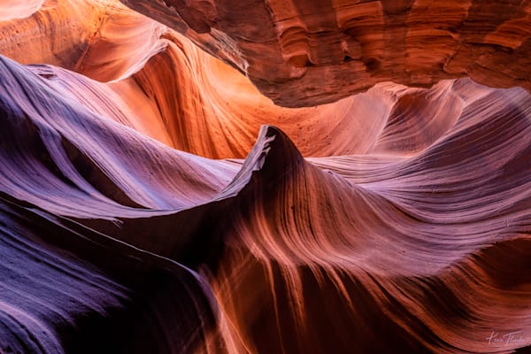 Waves of Light and Stone