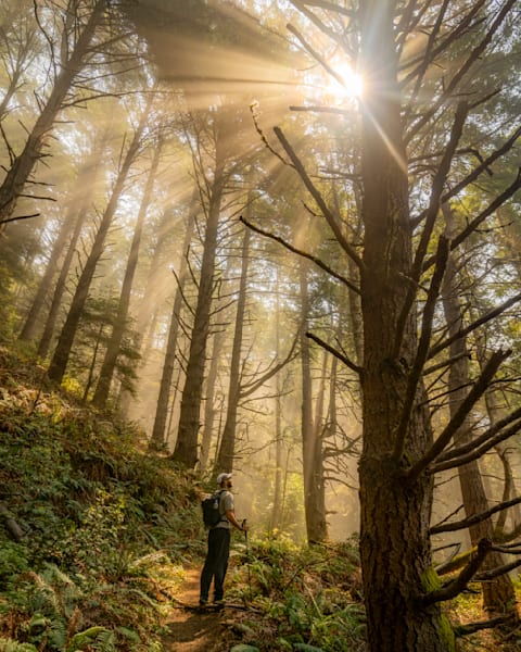 Coastal Giants Photography Art | Kevin Floerke Photography