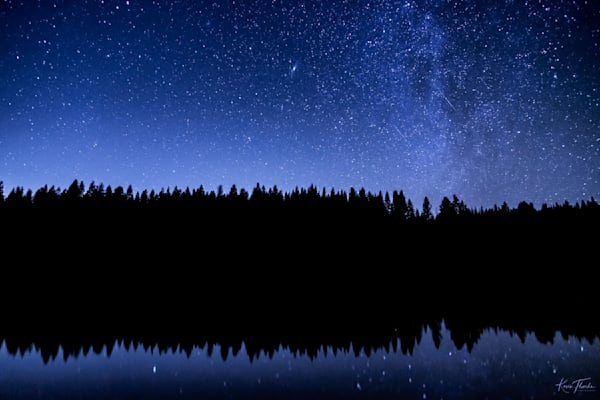 White Pines Blackout