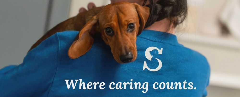 Where Caring Counts Art | Drew Slack Fine Art