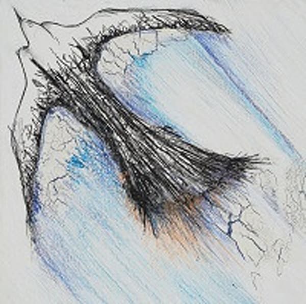 Wounded Phoenix