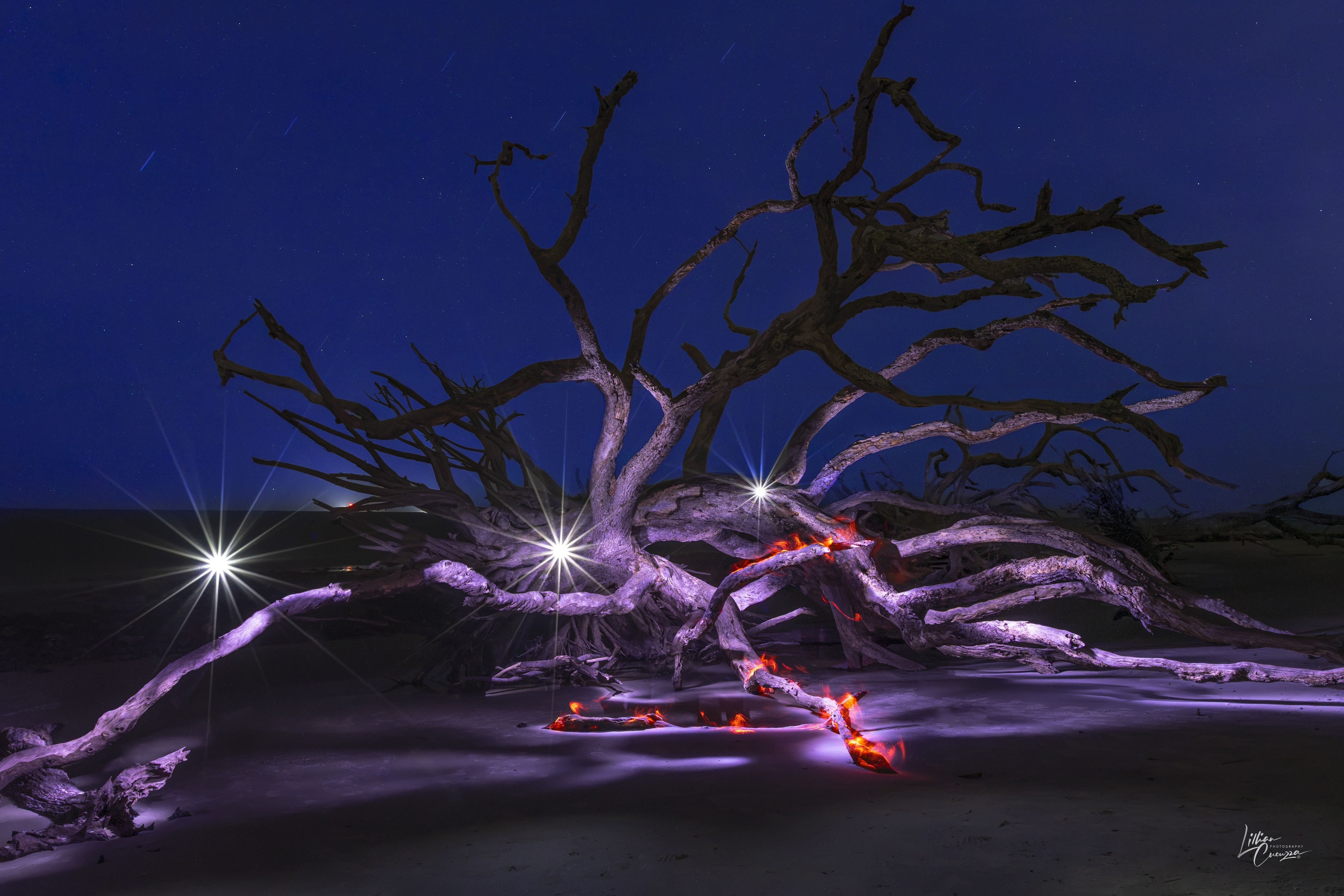 
        <div class='title'>
          The Burning Tree
        </div>
       
        <div class='description'>
          "The Burning Tree" is the result of a creative form of photography called light painting.  This is a tree on Driftwood Beach, Jekyll Island, Georgia, that appears to have fiery embers.  No trees were harmed in this process.  The fire is created using a black fiber-optic brush with orange, yellow, and red gels and a flashlight while brushing the branches, giving the appearance of fire. 
        </div>
      