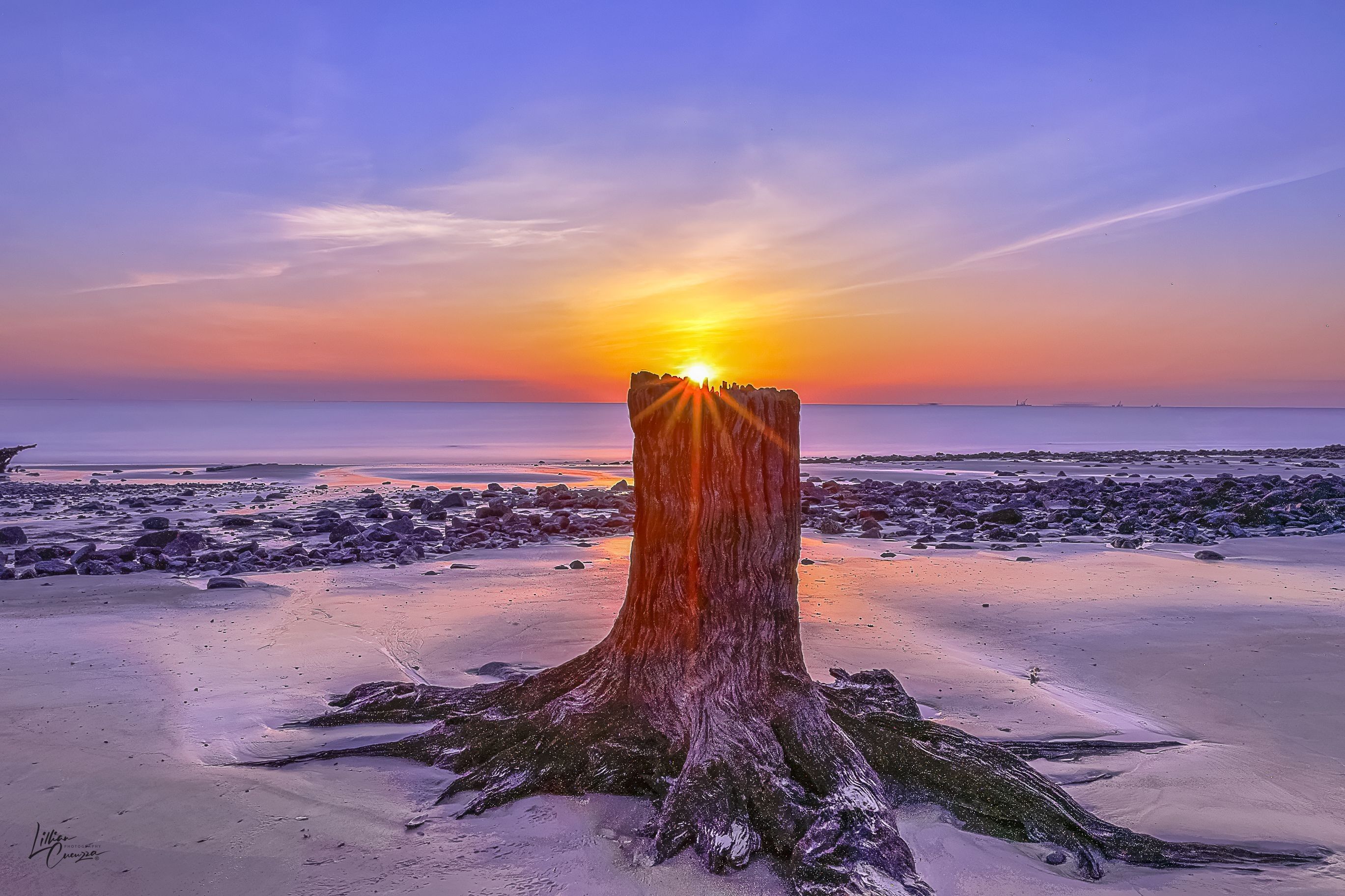 
        <div class='title'>
          Candlelight Sunrise
        </div>
       
        <div class='description'>
          Sun rising on a driftwood stump on Driftwood Beach, Jekyll Island, Georgia.
        </div>
      