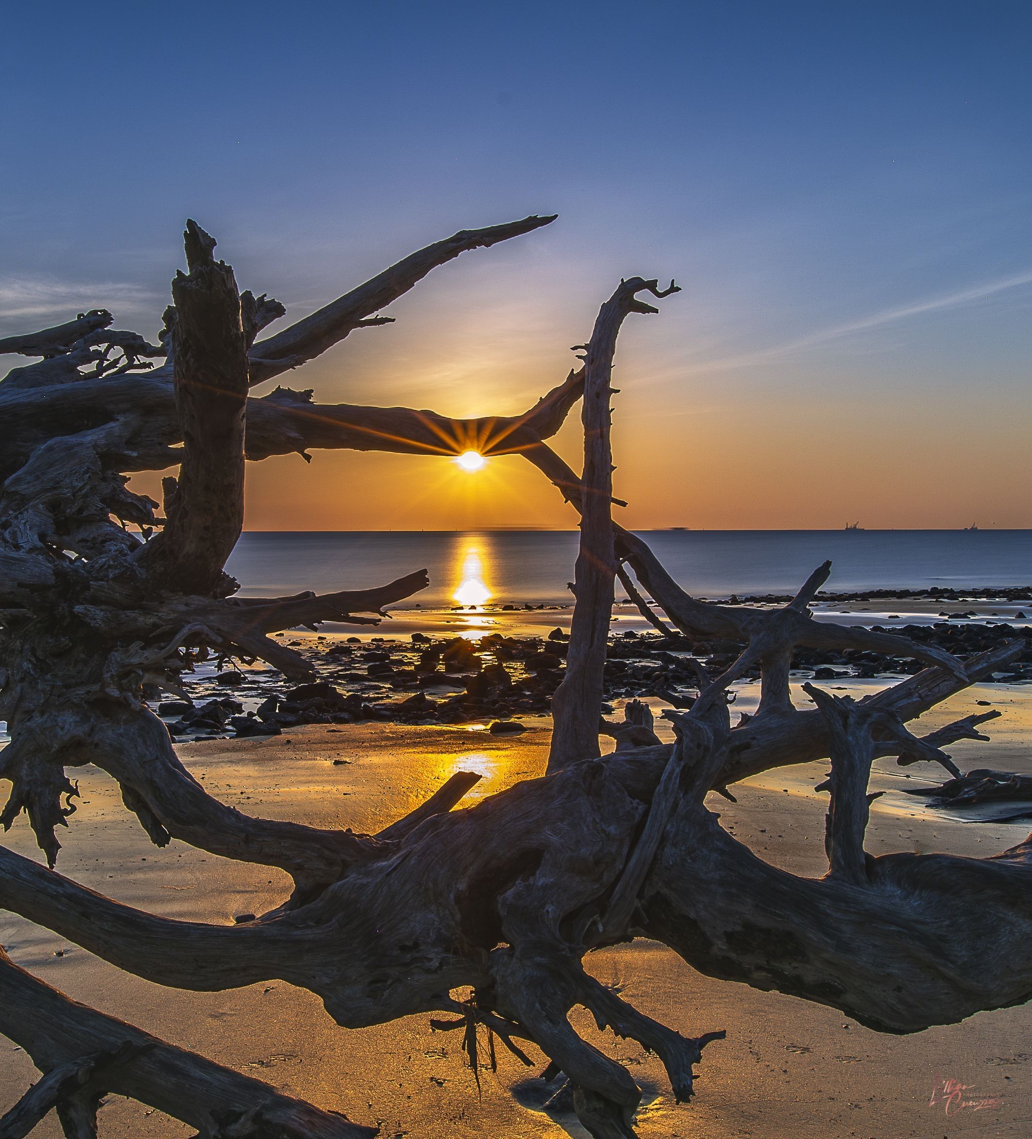 
        <div class='title'>
          Sunstar On A Golden Beach
        </div>
       
        <div class='description'>
          Sunstar framed by driftwood creates a golden beach glow on Driftwood Beach, Jekyll Island, Georgia.
        </div>
      