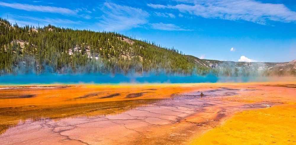 
        <div class='title'>
          Yellowstone - Grand Prismatic Spring
        </div>
       
        <div class='description'>
          Yellowstone - Grand Prismatic Spring with Bison Tracks
        </div>
      
