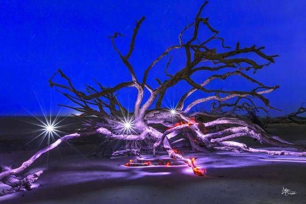 Jekyll Island, Georgia