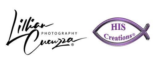 Lillian Cucuzza Photography - HIS Creations, LLC