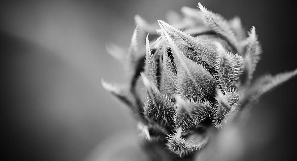 Mdawmdawmdawmdaw7qgraepd6cacehr zcfbfywxu2fyveayeunrgwctqqqltnerwweter6yomfiojy24adow ljj7f22f2vd2s3k0fn 38ezqodftc2xeuhdjufahdziomokxodj3hs jg da6ji5eudq olwagpj5emn5ayxmwz932p0mfwbry1ctnjdfrckj46y4qorhofulbnzx4n6xphgxmo p9cb yn3exyomtyr gwaei wj5drp9 io9zzwezfiieom4vfo3n9eeeieexdac h8rl5 zab1ki7asuea6ba0xhlnlaomp7ymefudts5mpxz13