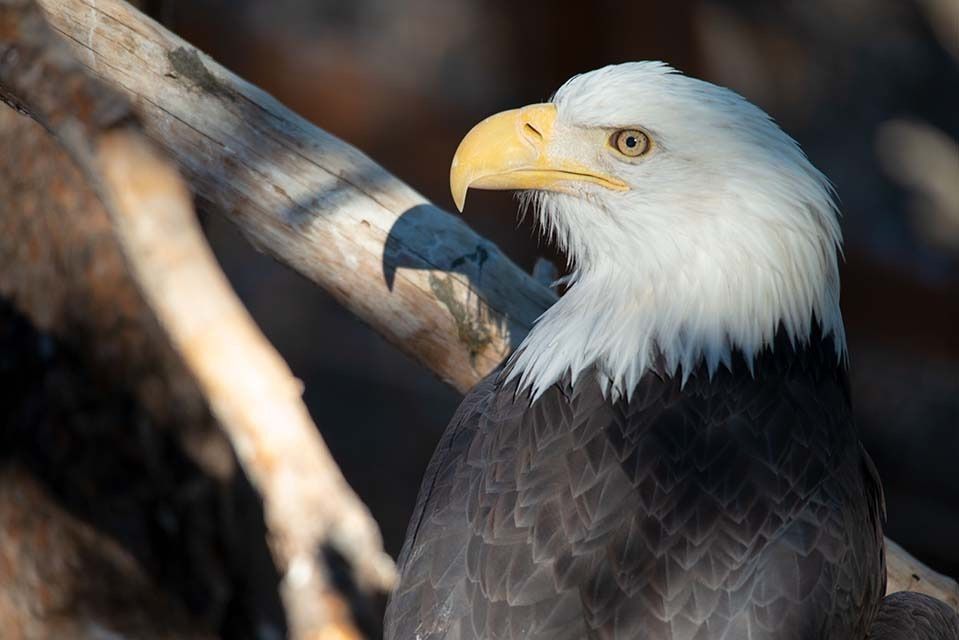 Mdawmdawmdawmdaw7qgraepd6cacehr zcfbfywxu2fyveayeunrgwctqqqltnerwweter6yomfiojy24adow ljj7f22f2vd2s3k0fn 38ezqodftc2xeuhdjufahdziomokxodj3hs jg da6ji5eudq olwagpj5emn5fcwmtq8roj1kfyylu48hdkdvieqav6srtu onq 8sw4f7h mpsrx9ukk7rruxnjxjh yrar69tuxayrkvebph5slzhnsewe03nc5ubxv0mc6ns48gdyki4hlfjni6vl5scqiroibdpae5xt5nw29o9uiw