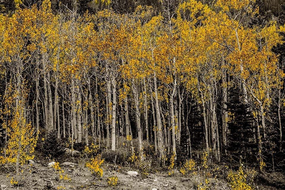 Mdawmdawmdawmdaw7qgraepd6cacehr zcfbfywxu2fyveayeunrgwctqqqltnerwweter6yomfiojy24adow ljj7f22f2vd2s3k0fn 38ezqodftc2xeuhdjufahdziomokxodj3hs jg da6ji5eudq olwagpj5emn5fe3gwuf 0avu1yrpr65xdwhuzivcgrtntv wwhq9n0j9r3eseqe039askrqgrlz1iykeeepo1urwx8x2vjfd5 88legzx3vw8fpy1vfo3lnknxzdesdcjtms4k8ree0oq30ebn0jomp4cmgu