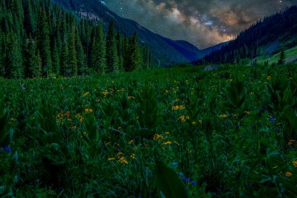 Milky Way and Nightscapes