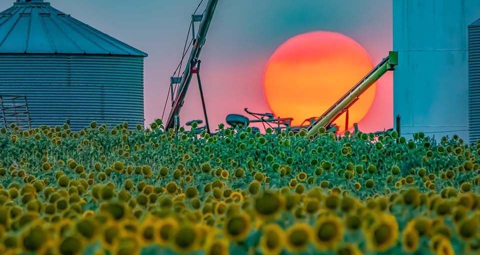 Mdawmdawmdawmdaw7qgraepd6cacehr zcfbfywxu2fyveayeunrgwctqqqltnerwweter6yomfiojy24adow ljj7f22f2vd2s3k0fn 38ezqodftc2xeuhdjufahdziomokxodj3hs jg da6ji5eudq olwagpj5emn5rcwmgz932p1kmwajv7 rqeibarbt5wzkgcaprtfabxiz5matifwtltly5qpfu2idji oszb6huw8o wbjbpcp0nmlwihuxvwkndhuhbby14vbq9hdqsqj7trfzny8vhmrnbplrgc0lpkht0264puazqc orlmf33s