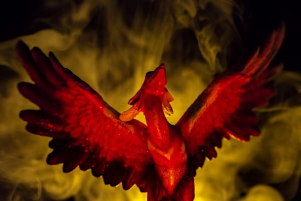 Phoenix Rising
