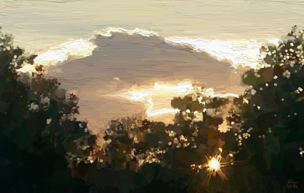 SUNSETS